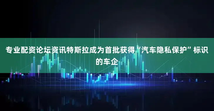 专业配资论坛资讯特斯拉成为首批获得“汽车隐私保护”标识的车企