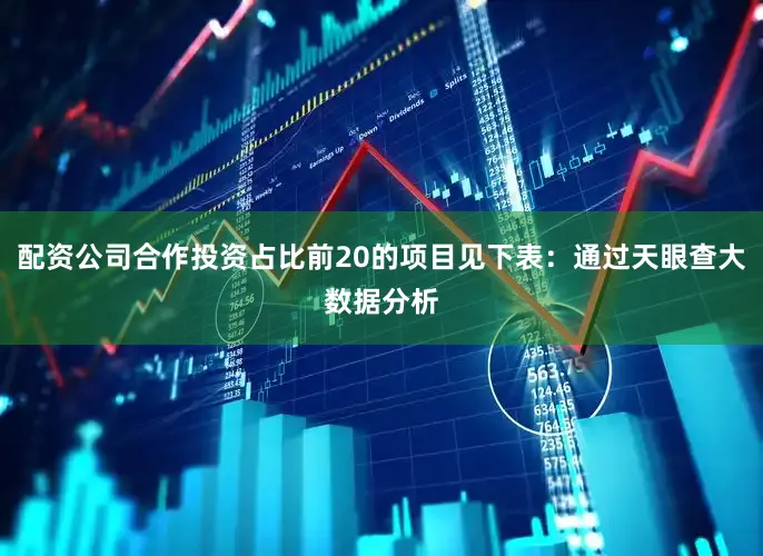 配资公司合作投资占比前20的项目见下表：通过天眼查大数据分析